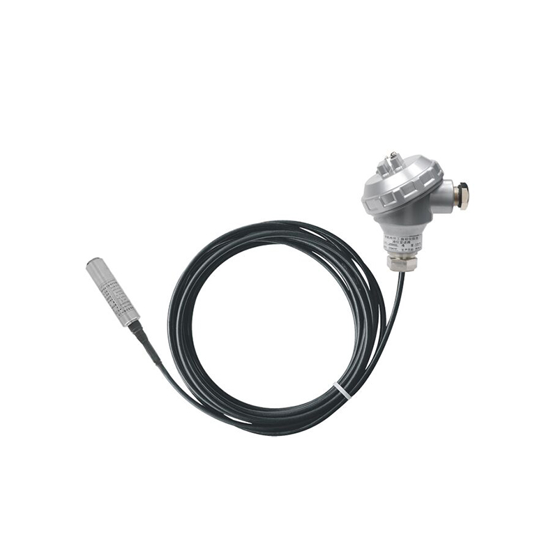 PB8600 submersible level transmitter