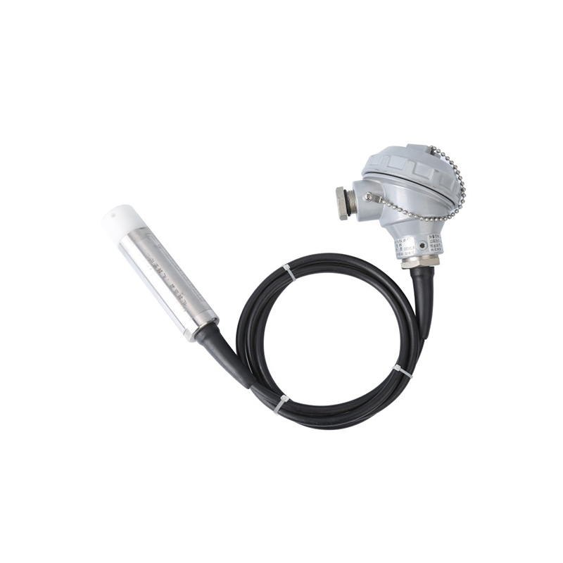 PB8600 submersible level transmitter